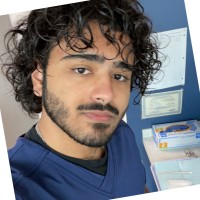 Waleed Qureshi