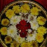 Sanjay Math