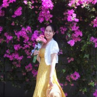 Hoa Vu