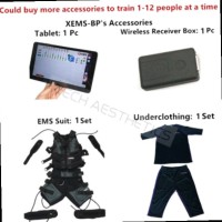 Muscle Stimulator