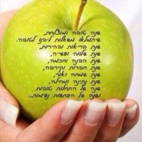 Benjamin fried