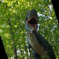 Aleksandra Konewecka