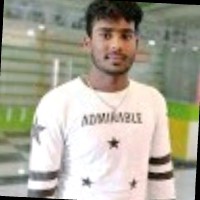 Narayanan T