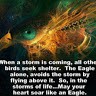 Severe Depression Anxiety. Awareness