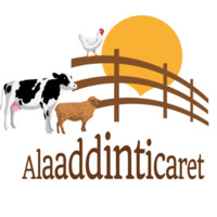 Alaaddin Ticaret