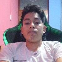 Luis Angel Reynaga Ricra