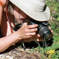 Deb Dutton