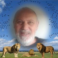 Henri Ferrer