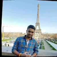 Praveenkumar P