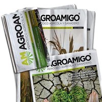 Periódico AgroAmigo