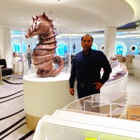 Robin Varghese