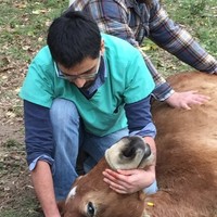 Igor González Martínez