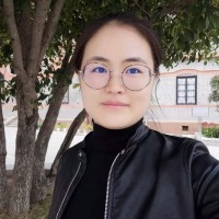 Dongmei Hou