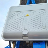 junior nsielele  wafulua