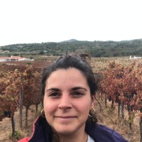 Sara Henriques Costa