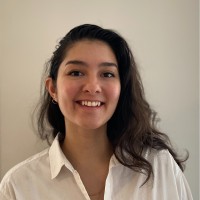 Mehr Gilani