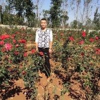 李国芳