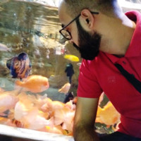 Saurabh Pushkarna