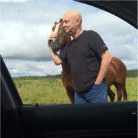 Robert Lamb