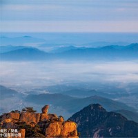 何成龙