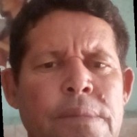 Paulo José José