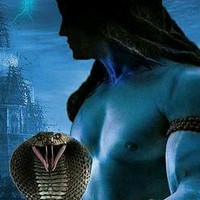 SHIVA Stark