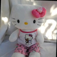 Darshini H