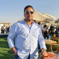 Ali Adel Elmanfy