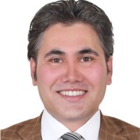 Reza Ahmadi, Ms, Git