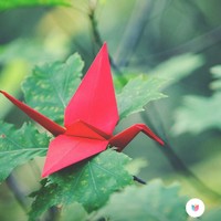 梁学军
