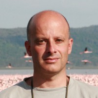 Igor Stelin