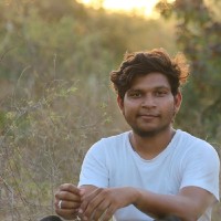 ashu dabhi