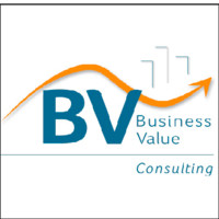 BV Consulting