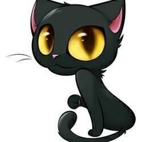 Cateyes Cat