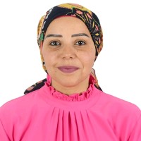 Dina Mosaad