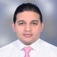 Karim Al-Sinary (Mcse, Itil,Ccna, Ceh)