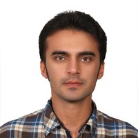 Mohammad Mohsen Kaveh