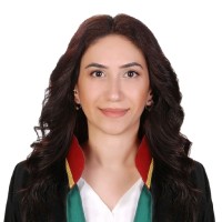 Begüm Türkmen