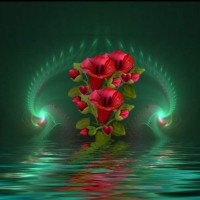 Corazón Estrella