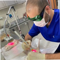 Mohammad Sadra Samiei