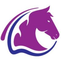 Equine Group Auctions