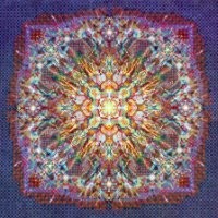 Michael Steven Platt