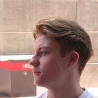 Thijs van der Stappen