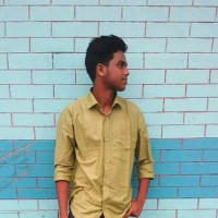 Md. Al Ibne Wasif