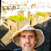 Anthony Beaulant