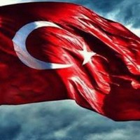Y. ENES DENİZ