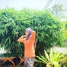Tengku Nadirah