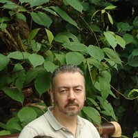 Raymond Errijgers