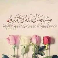 Mohammed Sayed