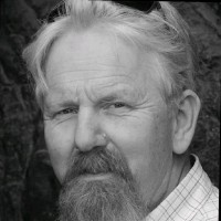 Arild F. Stein